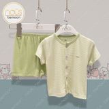 Bộ cài thẳng cộc Nous pettit kẻ xanh cốm