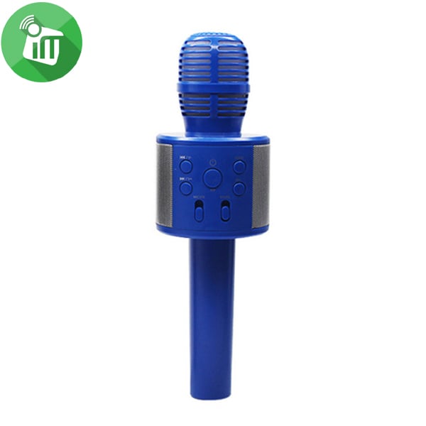 Mic Q858