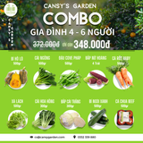 COMBO Gia Đình 4 - 6  Người