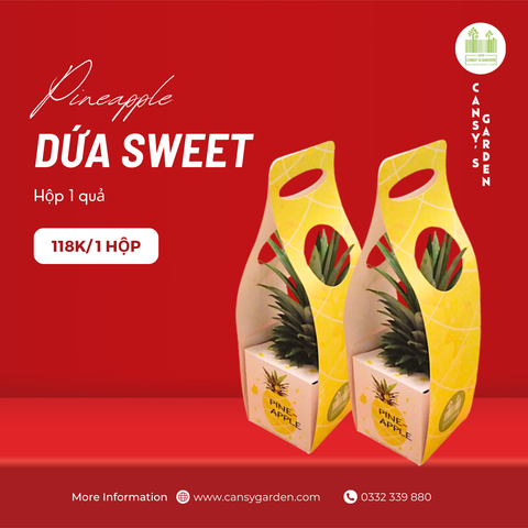 Dứa Sweet Hộp 1 Trái