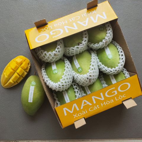 Xoài Cát Hòa Lộc Thùng 9 Trái - Hoa Loc Mango Box 9 Pcs