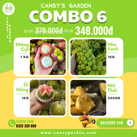 COMBO 6