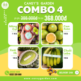 COMBO 4