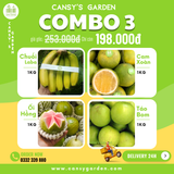 COMBO 3