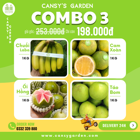 COMBO 3