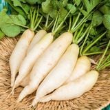 Củ Cải Trắng - White Radish