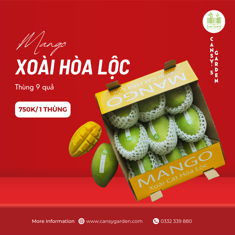 Xoài Cát Hòa Lộc Thùng 9 Trái