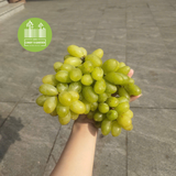Nho Xanh