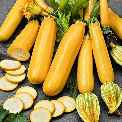 Bí Ngòi Vàng - Yellow Courgettes