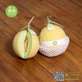 Dưa Lưới Hộp 1 Trái