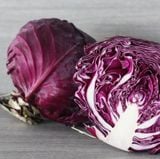 Bắp Cải Tím - Purple Cabbage