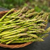 Măng Tây - Asparagus