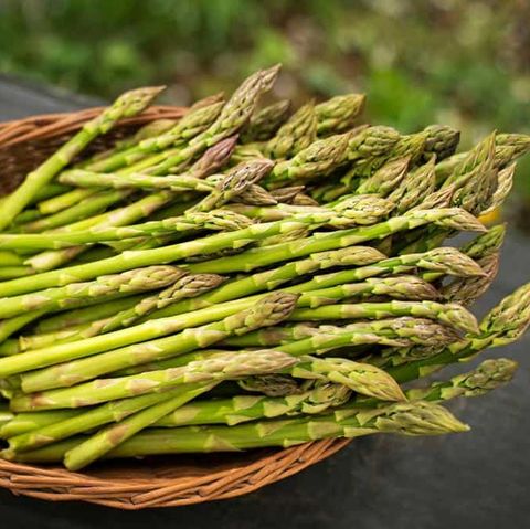 Măng Tây - Asparagus