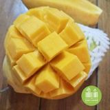 Xoài Cát Hòa Lộc