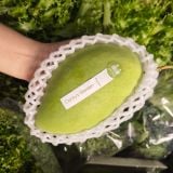 Xoài Hòa Lộc Hộp 2 Trái