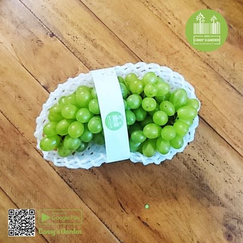 Nho Xanh - Green Grape