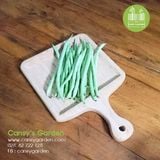 Đậu Cove Túi Đà Lạt 500gr