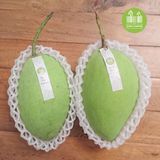 Xoài Cát Hòa Lộc - Hoa Loc Mango