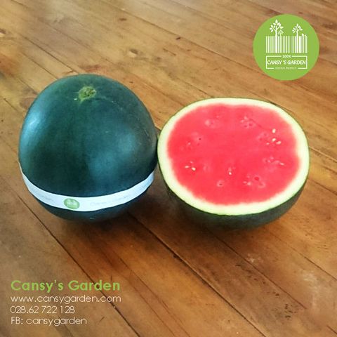 Dưa Hấu Trân Châu Đen - Water Melon