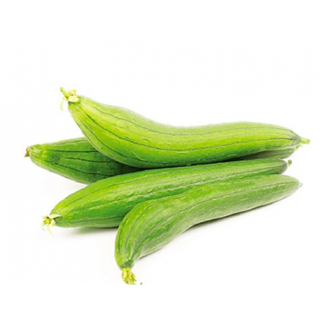 Mướp