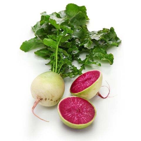 Củ Cải Ruột Hồng - [Hết hàng]