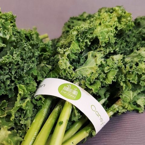 Cải Kale