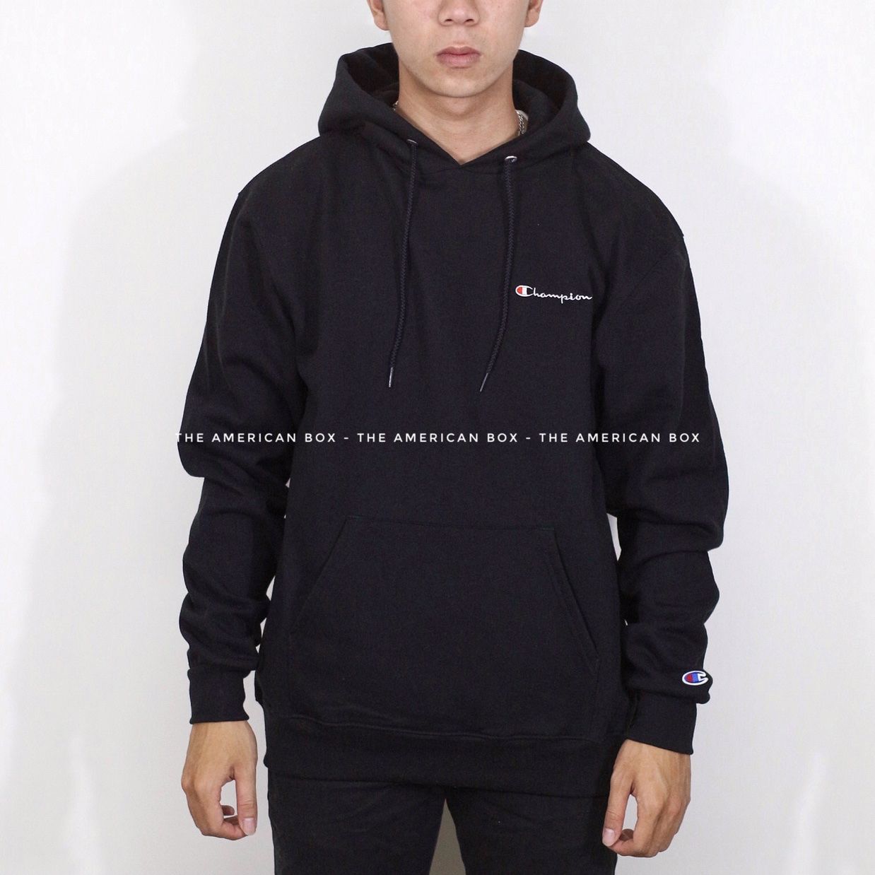 champion mini logo hoodie
