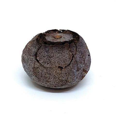 Trà Phổ Nhĩ Quýt - 45g