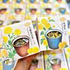 Trà Magnet Đài Loan 15 Tea Bags