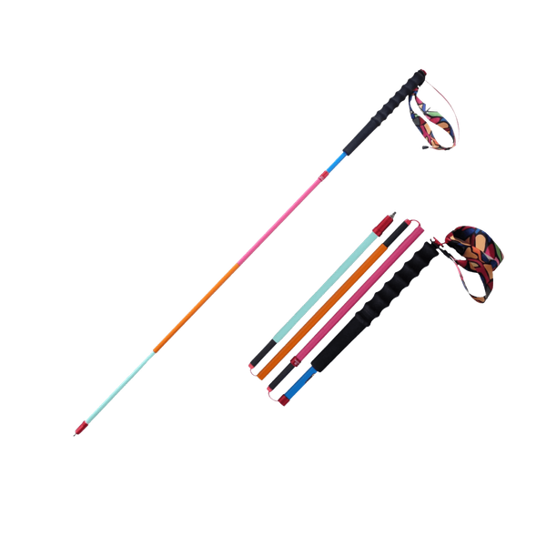  Gậy leo núi Zenone Z1802 - Colorful Carbon 