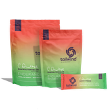  Bột năng lượng Tailwind Endurance Fuel Dauwatermelon 