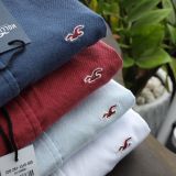  SƠ MI OXFORD HOLLISTER 