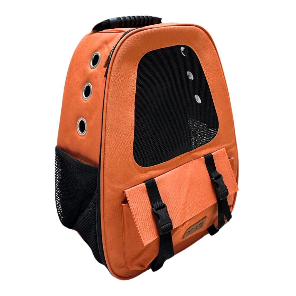 Balo thú cưng Wallet Pet Cute size 33 x 17 x 43 cm - Cam Petmall