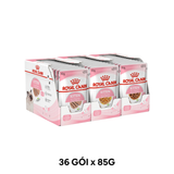 Hộp 12 Gói 85G - Pate mèo Royal Canin Kitten Jelly Petmall