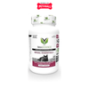  Viên nhai VETRI SCIENCE Renal Essentials 60 viên - Hỗ trợ cải thiện chức năng thận cho Mèo Petmall 