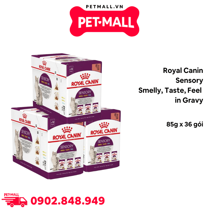Combo Pate mèo Royal Canin Sensory Smelly, Taste, Feel in Gravy 85g - 36 gói Petmall