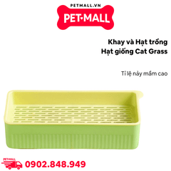 Khay và hạt trồng hạt giống Cat Grass - Tỉ lệ nảy mầm cao Petmall