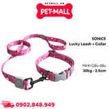 Set Dây + Vòng cổ Sonice Lucky Leash + Collar 30kg - 2.5cm Gấu dâu Petmall