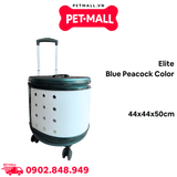 Vali vận chuyển du lịch cao cấp Elite Blue Peacock Color Size 44x44x50cm