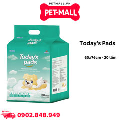 Tấm lót vệ sinh Today’s pads 60x76cm - 20 tấm Petmall