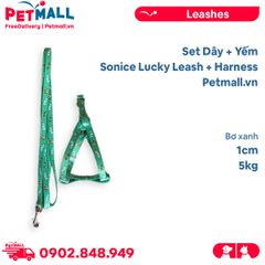 Set Dây + Yếm Sonice Lucky Leash + Harness 5kg - 1cm Bơ xanh Petmall
