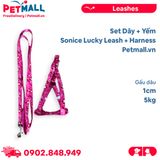 Set Dây + Yếm Sonice Lucky Leash + Harness 5kg - 1cm Gấu dâu Petmall