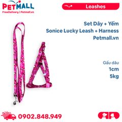 Set Dây + Yếm Sonice Lucky Leash + Harness 5kg - 1cm Gấu dâu Petmall