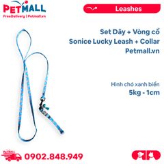 Set Dây + Vòng cổ Sonice Lucky Leash + Collar 5kg - 1cm Hình chó xanh biển Petmall