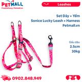 Set Dây + Yếm Sonice Lucky Leash + Harness 30kg - 2.5cm Gấu dâu Petmall