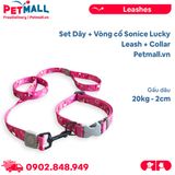 Set Dây + Vòng cổ Sonice Lucky Leash + Collar 20kg - 2cm Gấu dâu Petmall