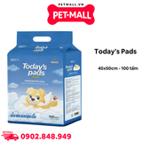 Tấm lót vệ sinh Today’s pads 40x50cm - 100 tấm Petmall