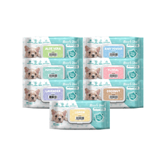 Khăn giấy ướt vệ sinh Absorb Antibacterial Pet Wipes - 80 miếng - 15x20cm - Kháng khuẩn, khử mùi, vệ sinh toàn thân cho thú cưng Petmall