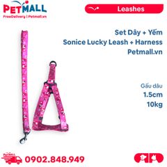 Set Dây + Yếm Sonice Lucky Leash + Harness 10kg - 1.5cm Gấu dâu Petmall