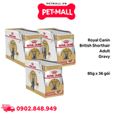 Combo 36 Gói 85G - Pate mèo Royal Canin British Shorthair Adult Gravy Petmall